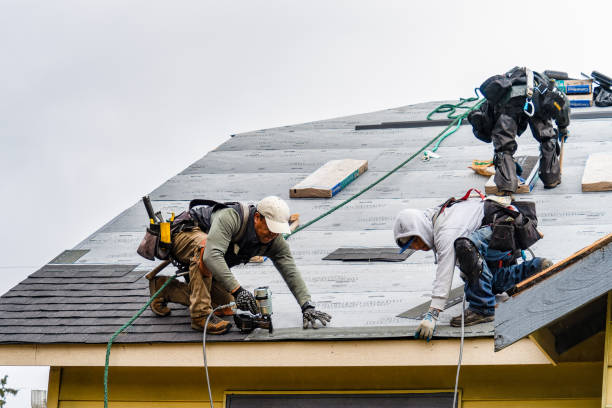 Professional Gutter Installation technician working in Arlington, WI